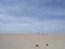 DSCN6545.JPG