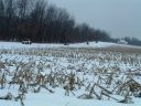 DSCF0032.JPG
