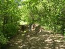 DSCN8292.JPG