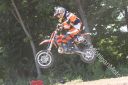 REDBUD_2.jpg
